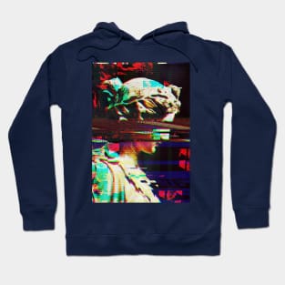 Vaporwave greek glitch statue Hoodie